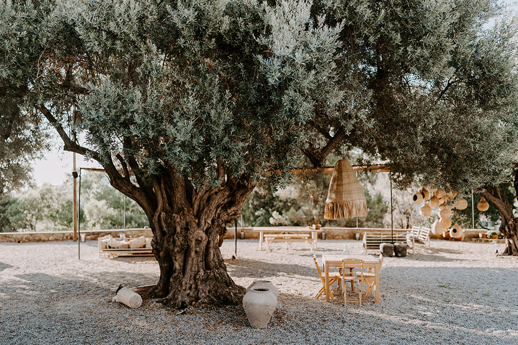 AdobeStock_536355301-04